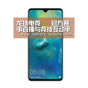 华为无线快充手机
