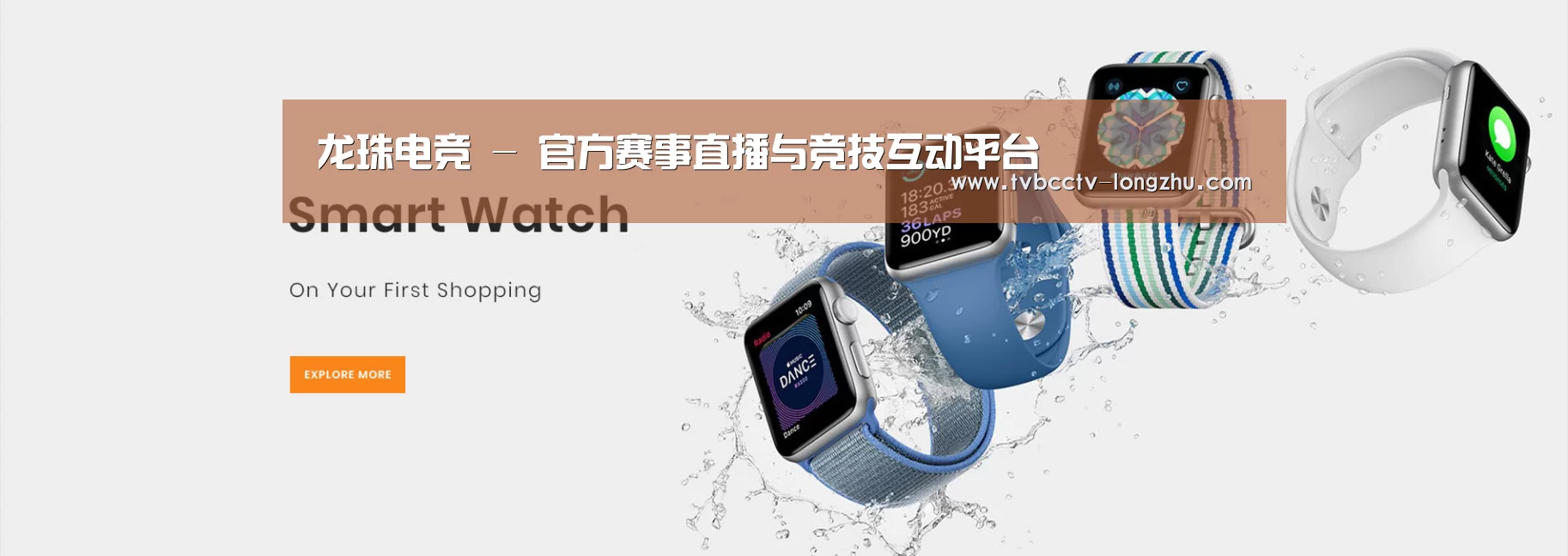 某某网络科技有限公司