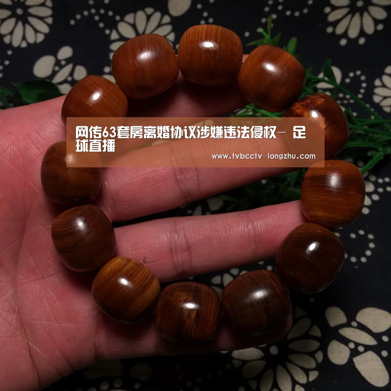  赛事数据直播