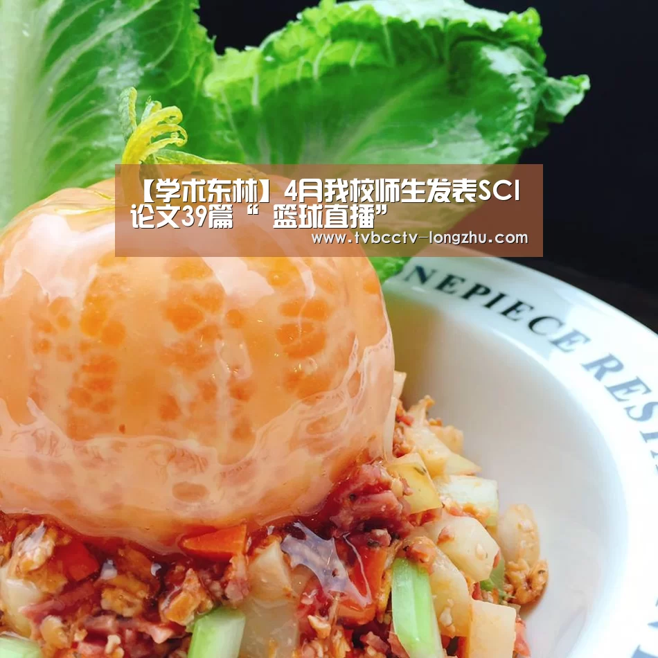 龙珠体育app比分直播