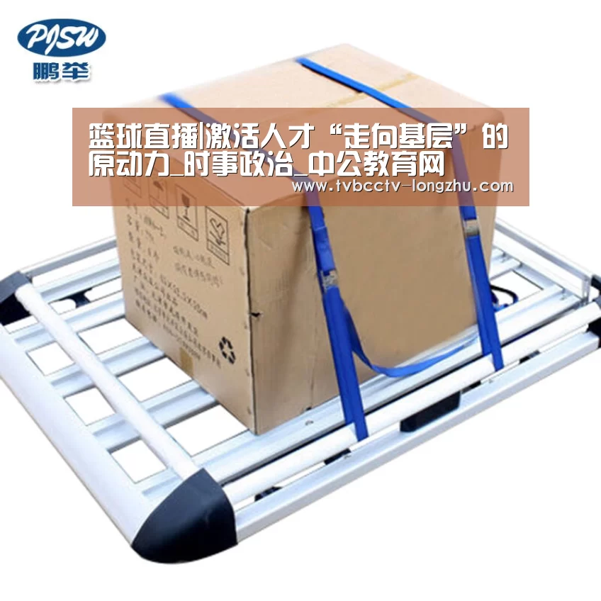  实时比分