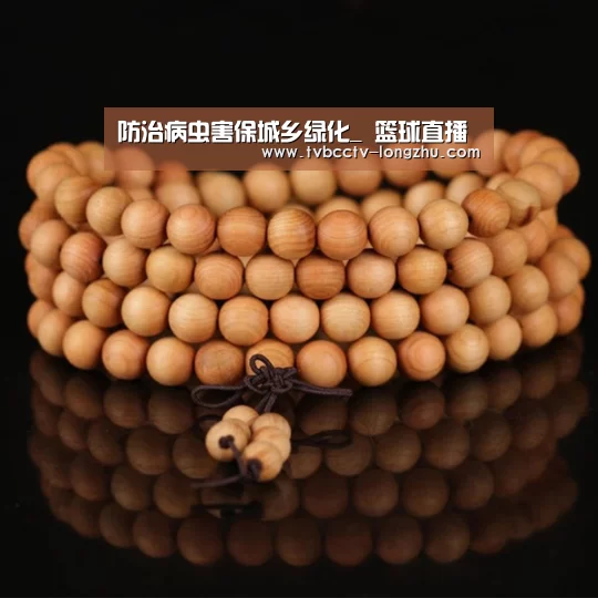 篮球直播