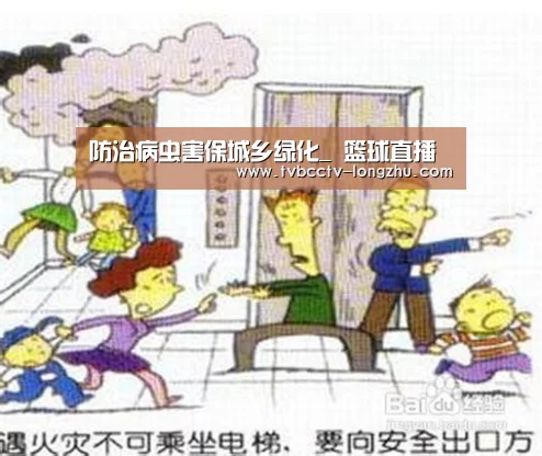  篮球直播