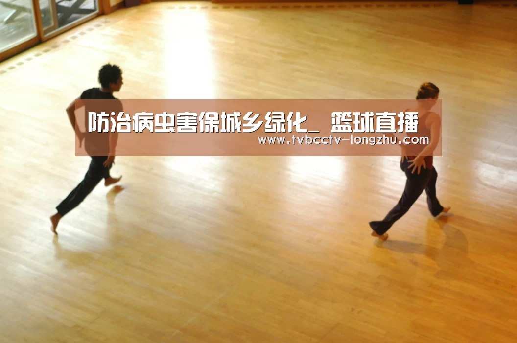 龙珠体育app比分直播