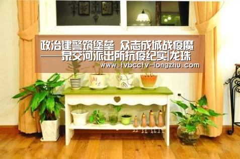  篮球直播