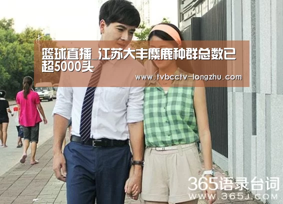  篮球直播
