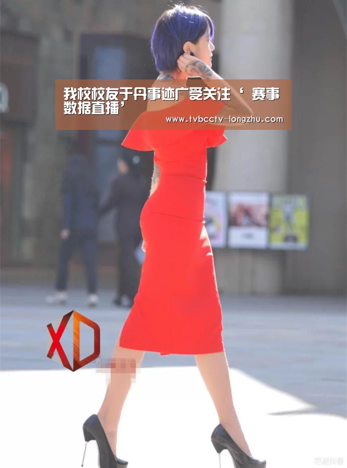 龙珠体育app比分直播