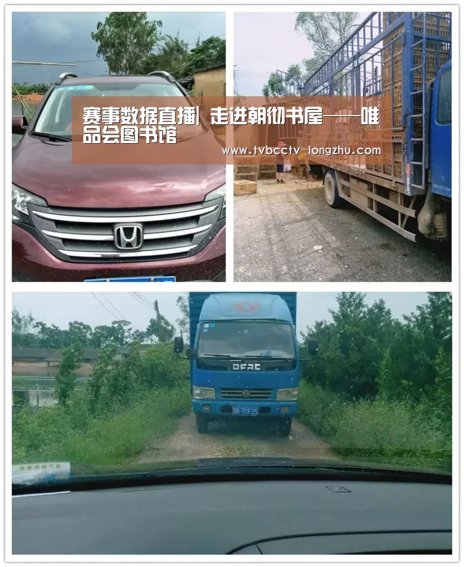 龙珠体育app比分直播