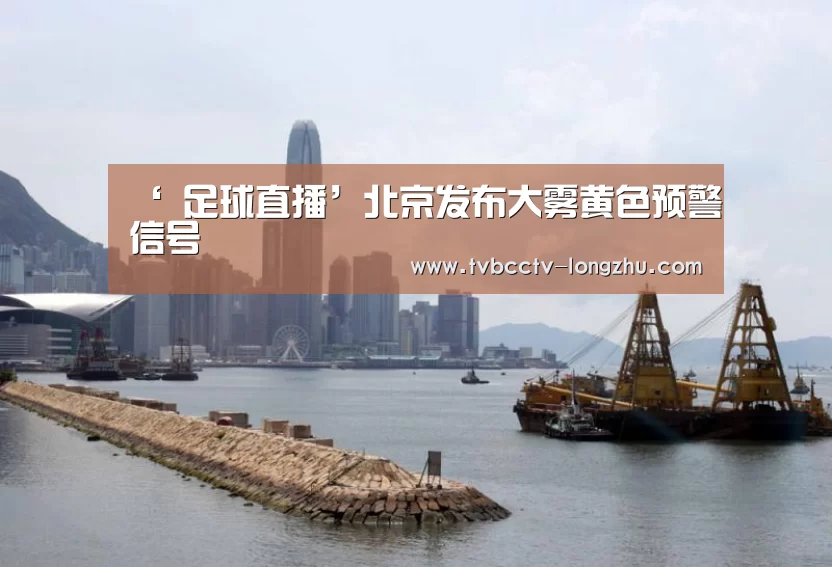  篮球直播