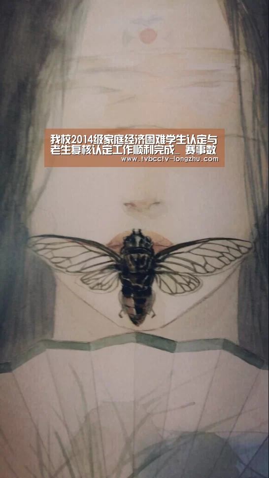  篮球直播